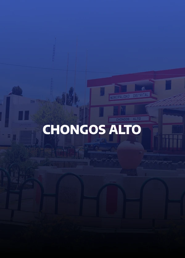 chongos_alto_plaza